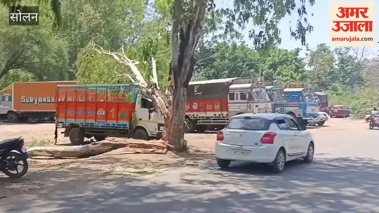 Solan: Storm Wreaks Havoc on Ramshahar Road in Nalagarh; Tempo Severely Damaged as Tree Falls