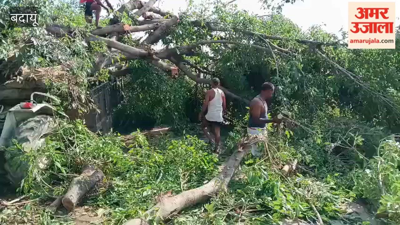 Tree Falls on Tractor-Trolley due to storm in Budaun