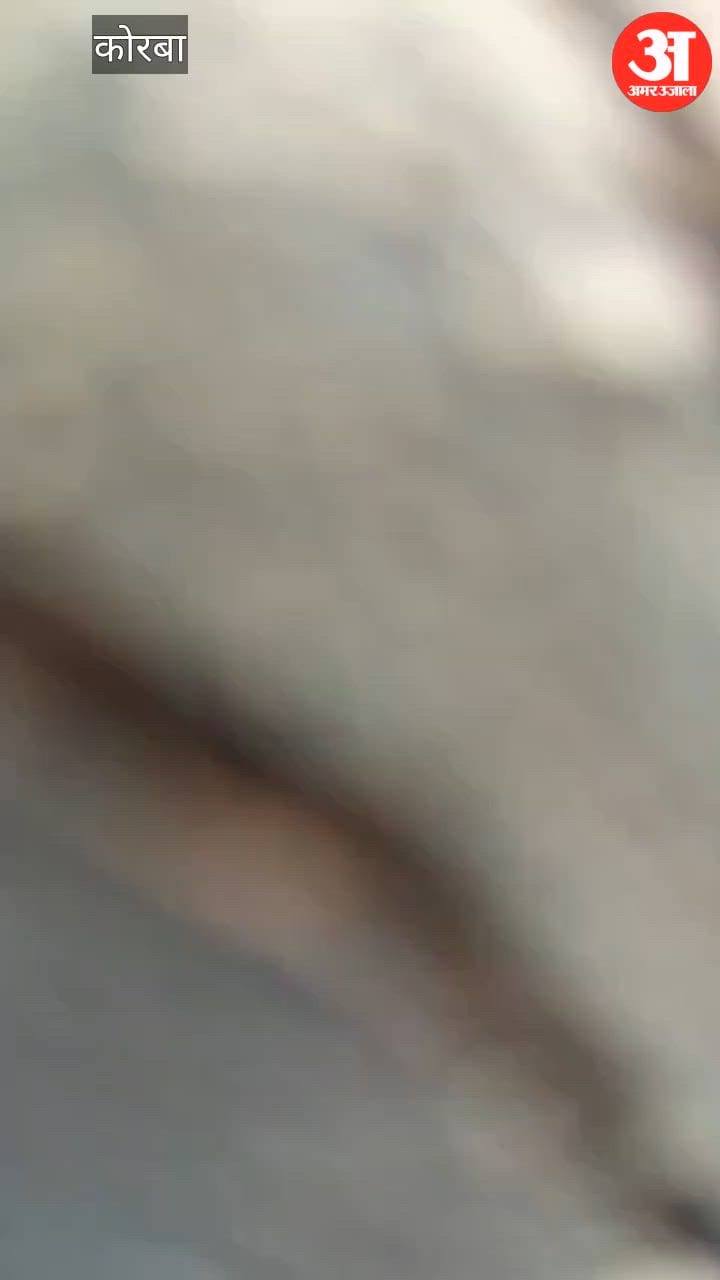 Korba Nephew and Mother Assault Woman and Rob Her of Jewelry