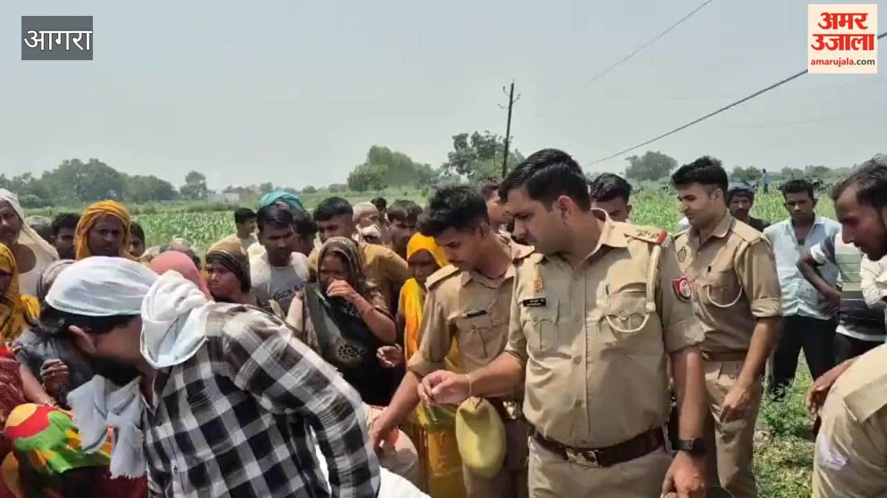 Teenager dies after being hit by high tension line