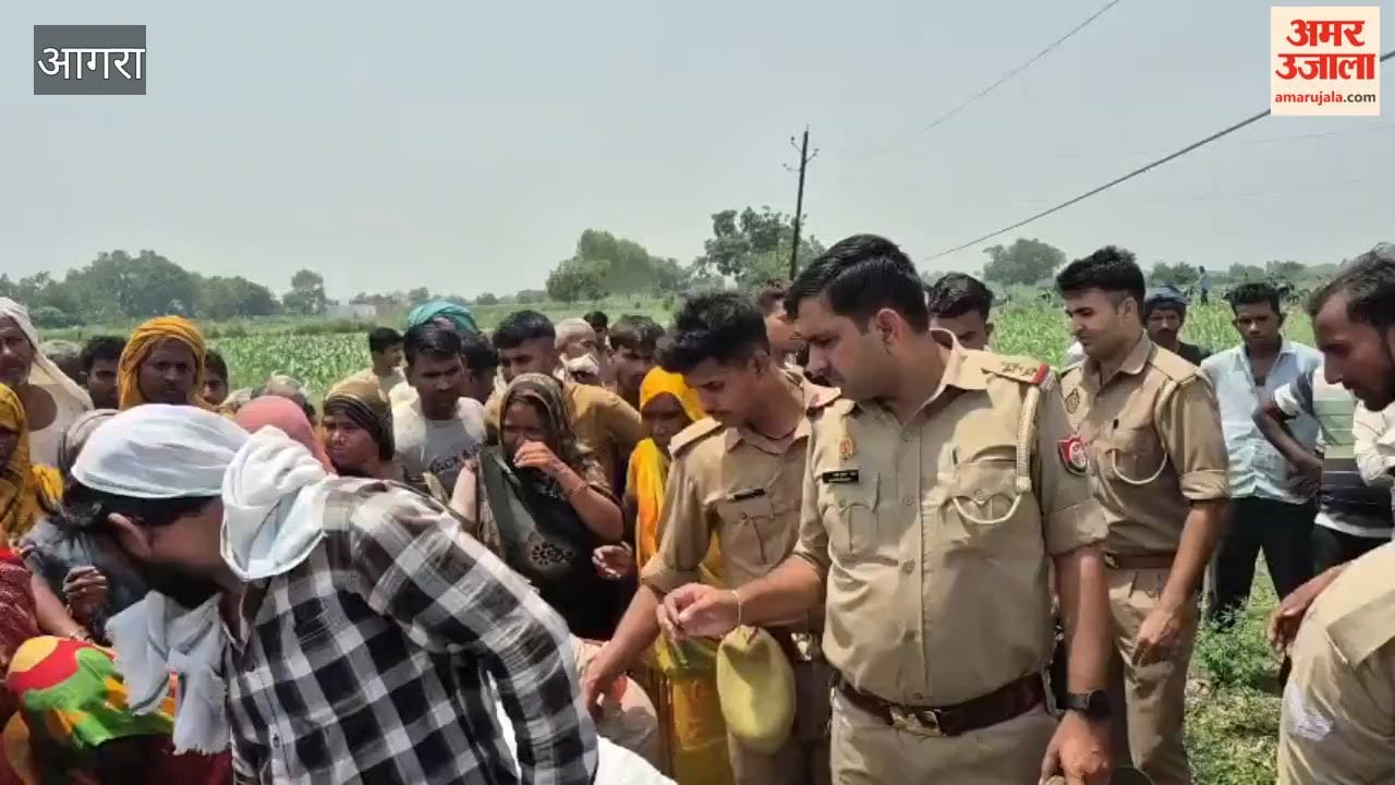 Teenager dies after being hit by high tension line