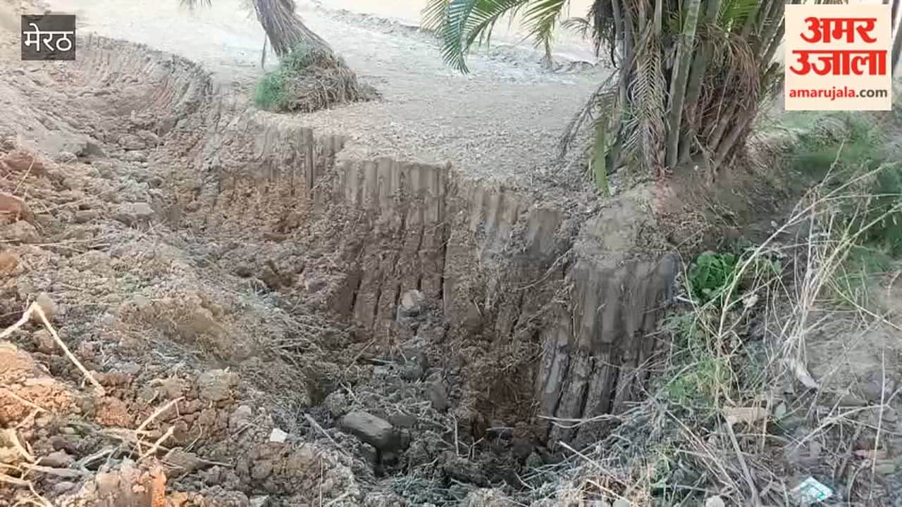 Standing Maize Crop Destroyed by JCB in the Name of Road Construction, Complaint Filed