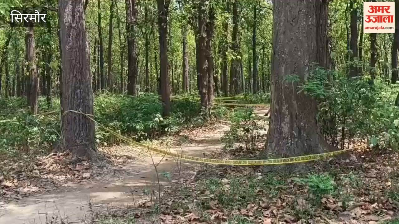 Sirmour: Lover Poisons Partner to Death in Rented Room in Barara, Then Burns Body in Kolar Forest