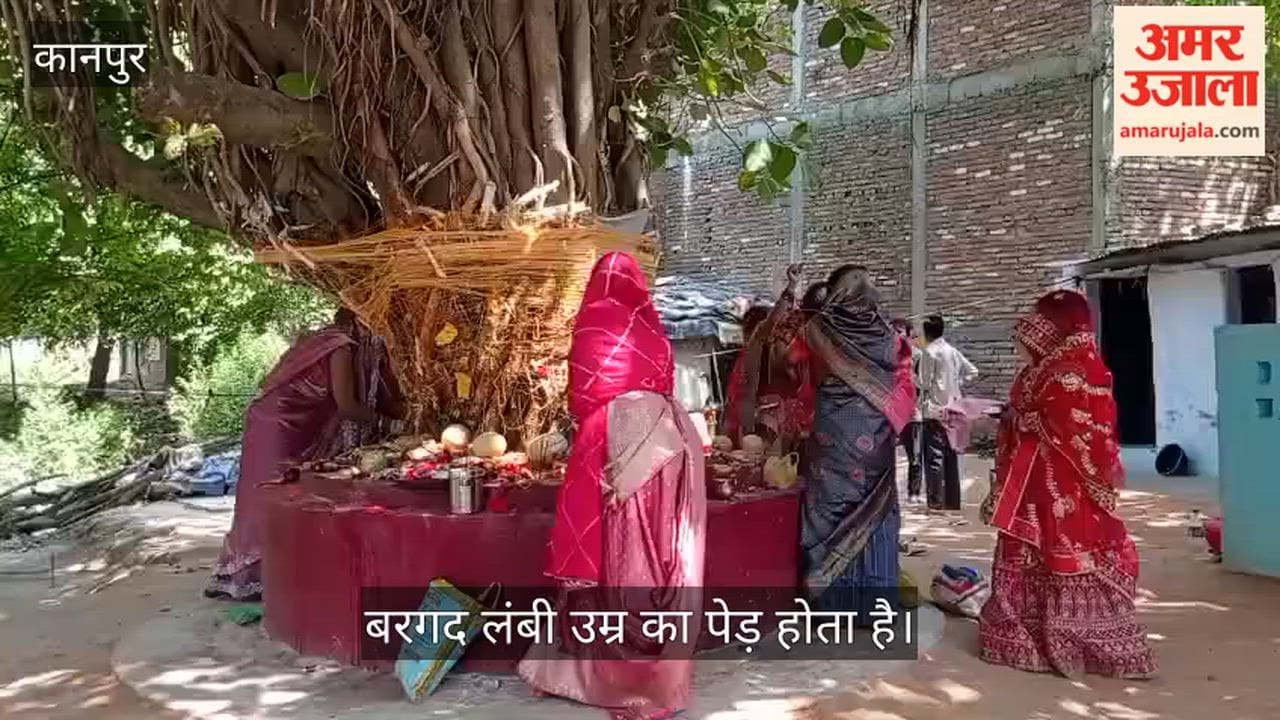 Kanpur Woman performs circumambulation and worship of the Banyan tree for her husbands longevity