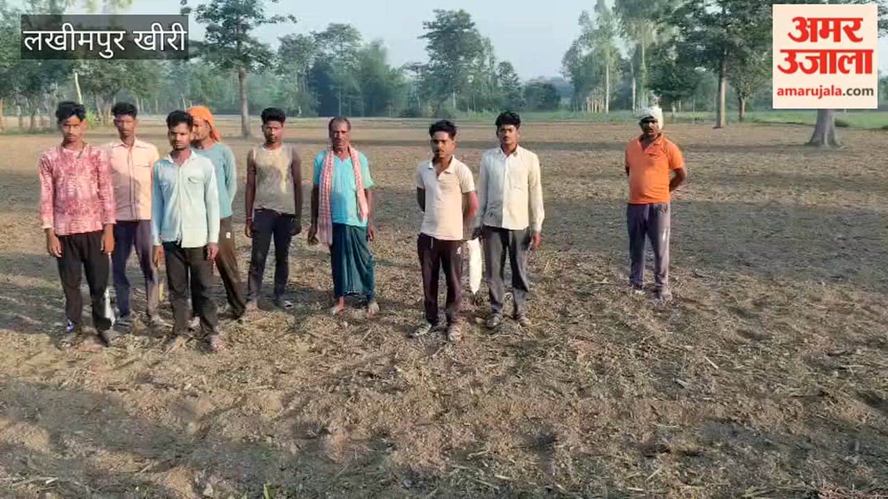 Bullies ploughed the sugarcane crop in lakhimpur kheri