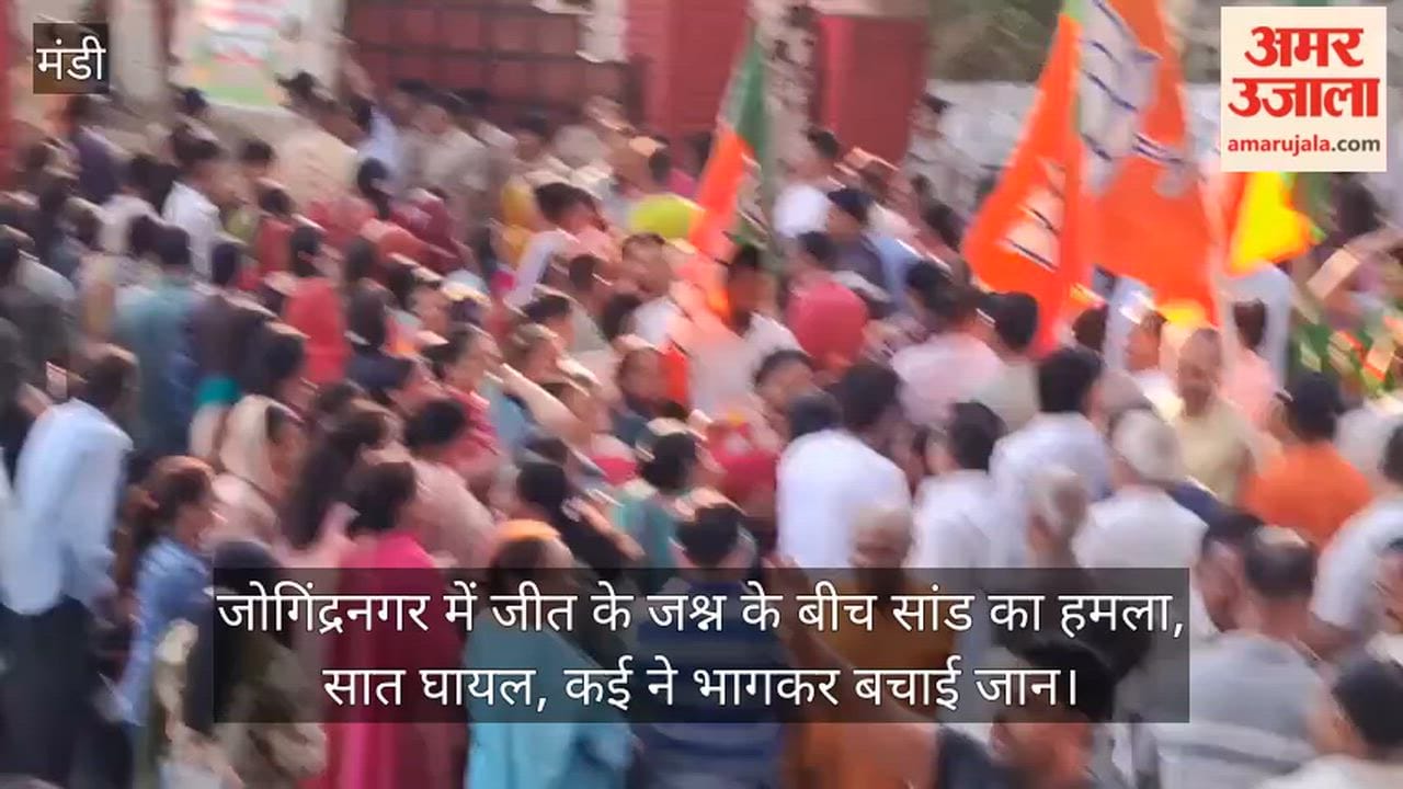 Bull Attacks Amidst Victory Celebrations in Jogindernagar; Seven Injured, Many Save Their Lives by Fleeing