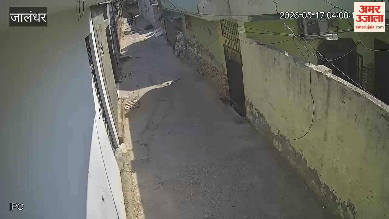 Snatching Attempt Foiled by Woman Bravery in Jalandhar She Confronts Robbers to Save Her Child