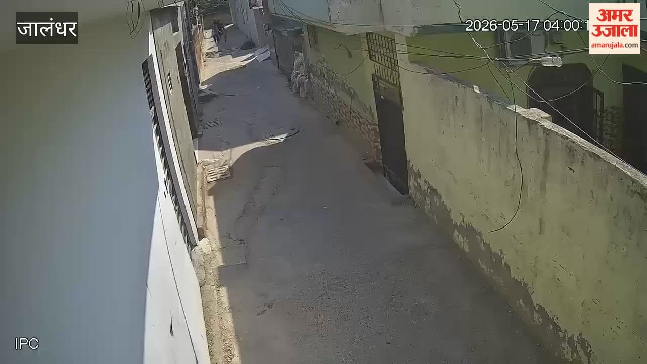 Snatching Attempt Foiled by Woman Bravery in Jalandhar She Confronts Robbers to Save Her Child
