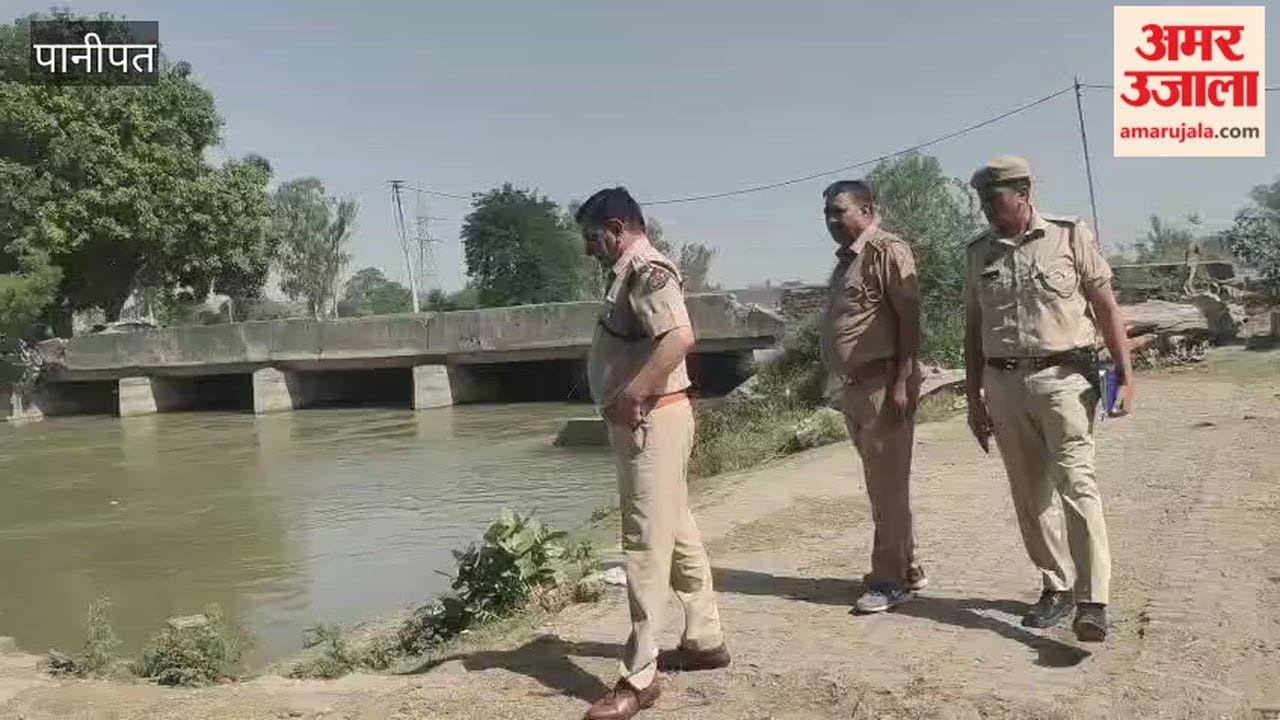 Elderly couple jumps into canal