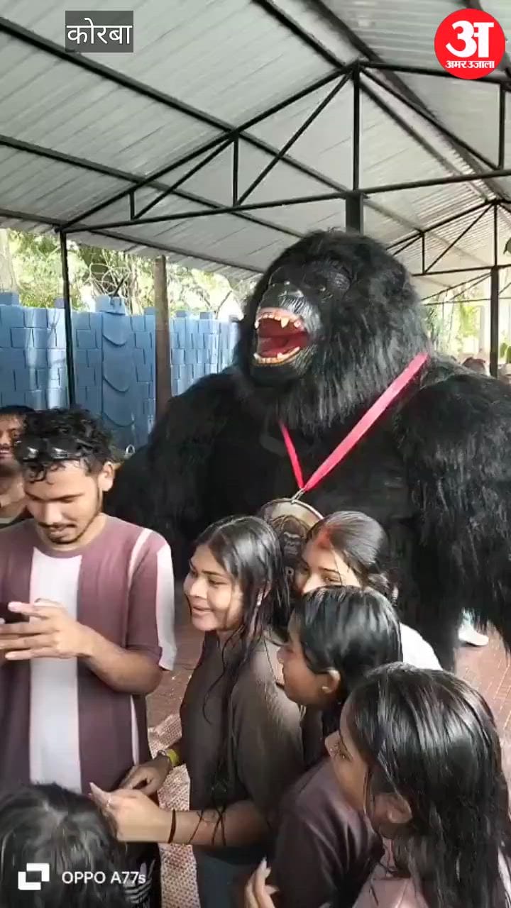 Gorilla Dada' Brings Fun to Kids at Appu Garden in Korba video