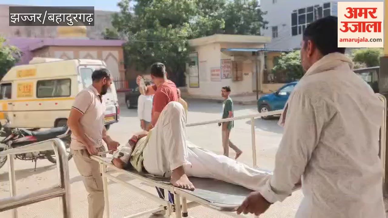Elderly woman dies in road accident at Jhajjar
