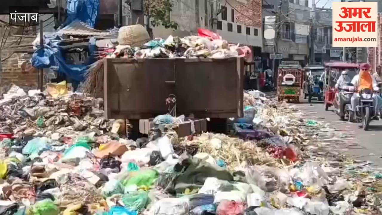 Heaps of garbage on the streets of Moga have become a major nuisance for the common people.