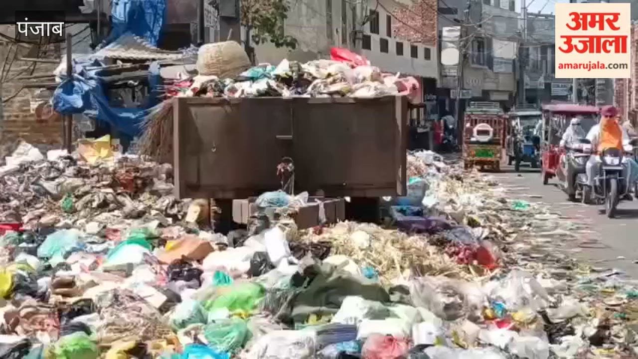 Heaps of garbage on the streets of Moga have become a major nuisance for the common people.
