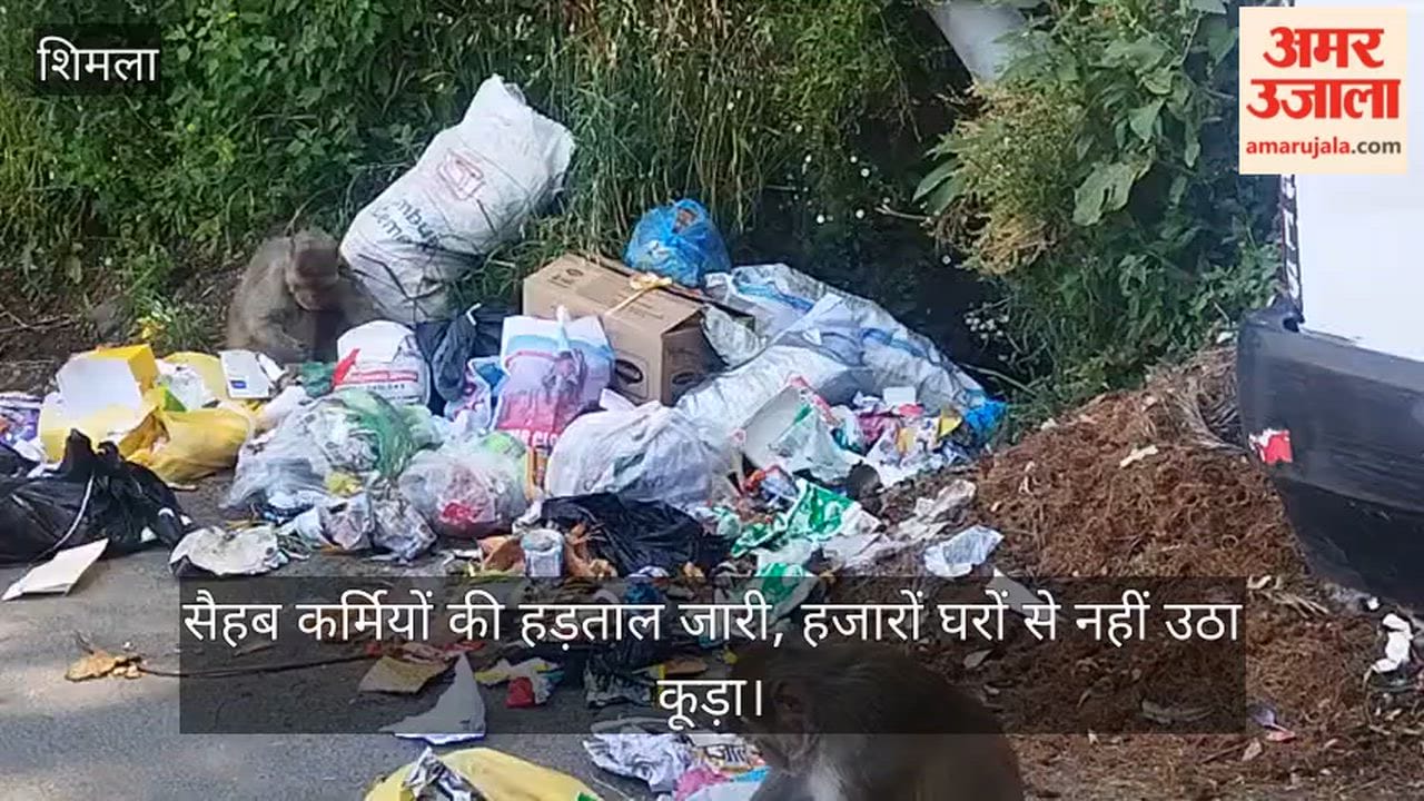 SEHB Society Sanitation Workers' Strike Continues; Garbage Remains