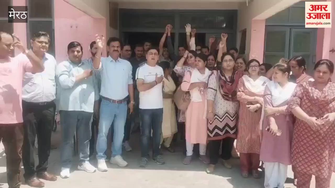 Mawana PHC Contract Workers Protest Over Non-Receipt of Salaries for Three Months; Stage Demonstration Wearing Black Armbands