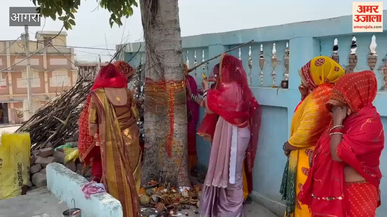 Married Women Observe Vat Savitri Fast in Bateshwar for Husband’s Long Life
