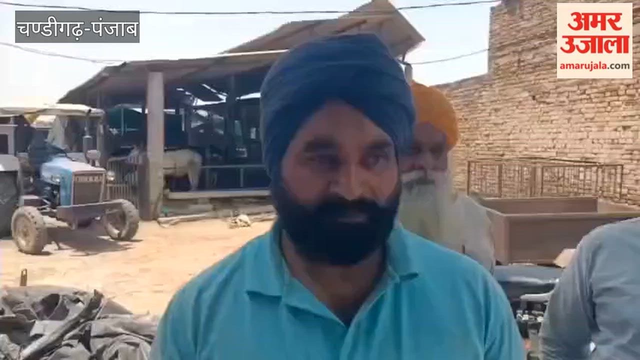 Four cows died and one was seriously injured after being electrocuted in a cattle shed in Kari Kalan village of Mamdot.