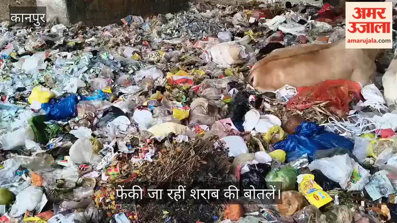 Kanpur Hellish Scene Beneath Harjinder Nagar Flyover Piles of Garbage Make Mockery of nagar nigam Claims