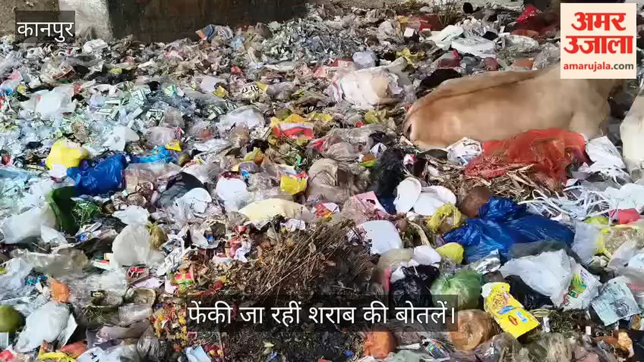 Kanpur Hellish Scene Beneath Harjinder Nagar Flyover Piles of Garbage Make Mockery of nagar nigam Claims