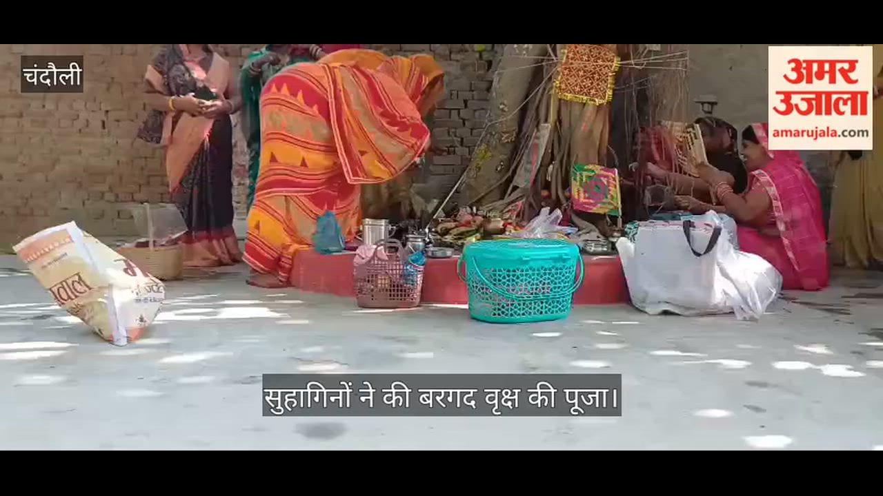 Vat Savitri Vrat 2026  Worshipping banyan tree women prayed for longevity of their husbands