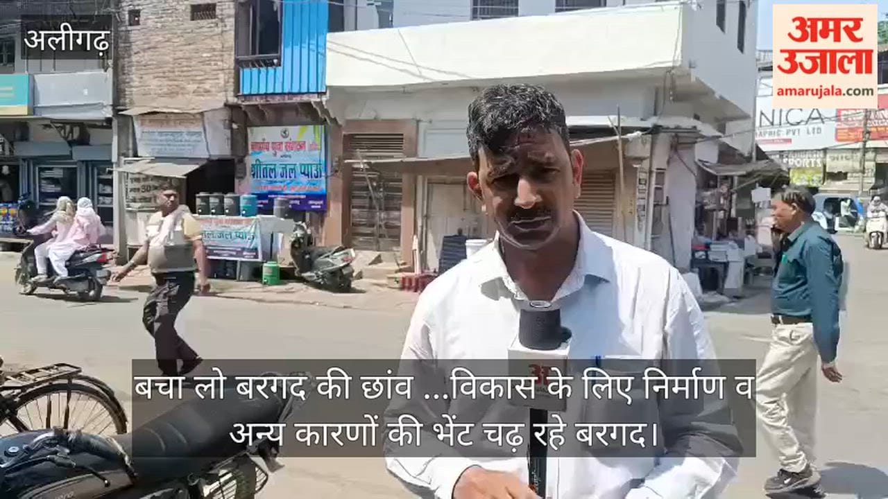 बचा लो बरगद की छांव ...विकास के लिए निर्माण व अन्य कारणों की भेंट चढ़ रहे बरगद
