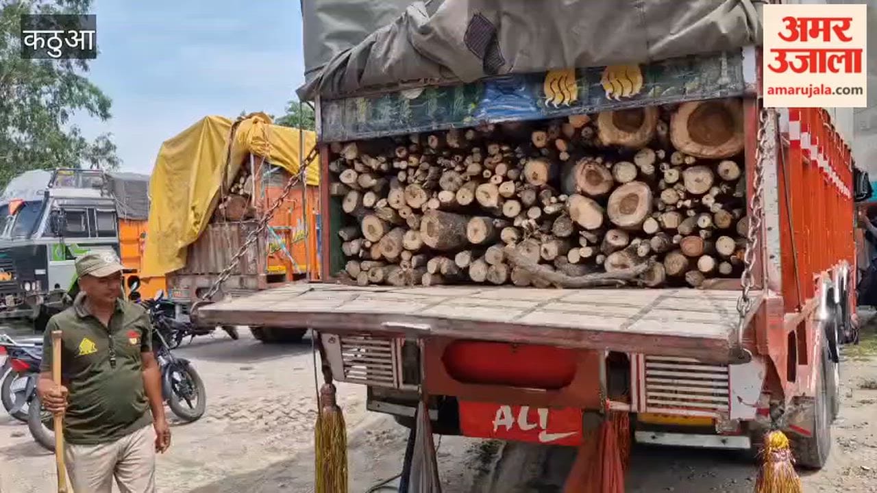 Major Action by Forest Department; Attempt at Timber Smuggling Foiled