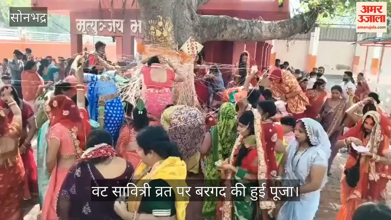 Banyan tree worshipped on occasion of Vat Savitri Vrat in sonbhadra