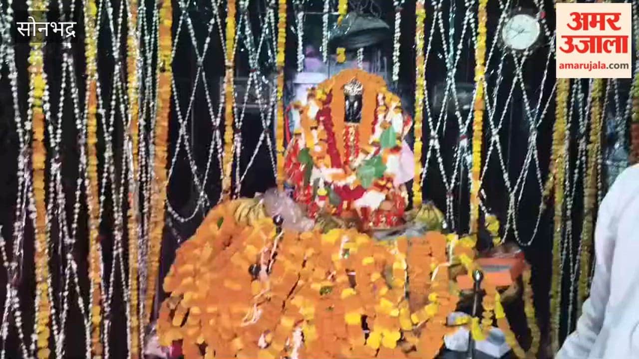 Devotees Worship Lord Shani by Offering Black Sesame Seeds and Oil