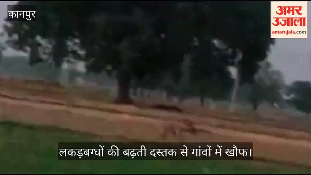 Hyena Pack Sparks Fear in Kanpur Dehat Villages, Forest Team to Inspect Area