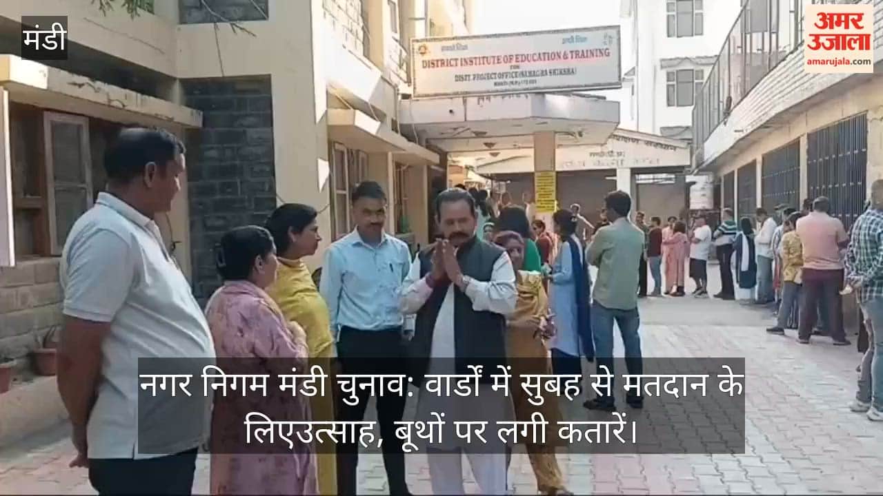 Mandi Municipal Corporation Elections: Enthusiasm for Voting in Wards Since Morning; Queues Form at Polling Booths