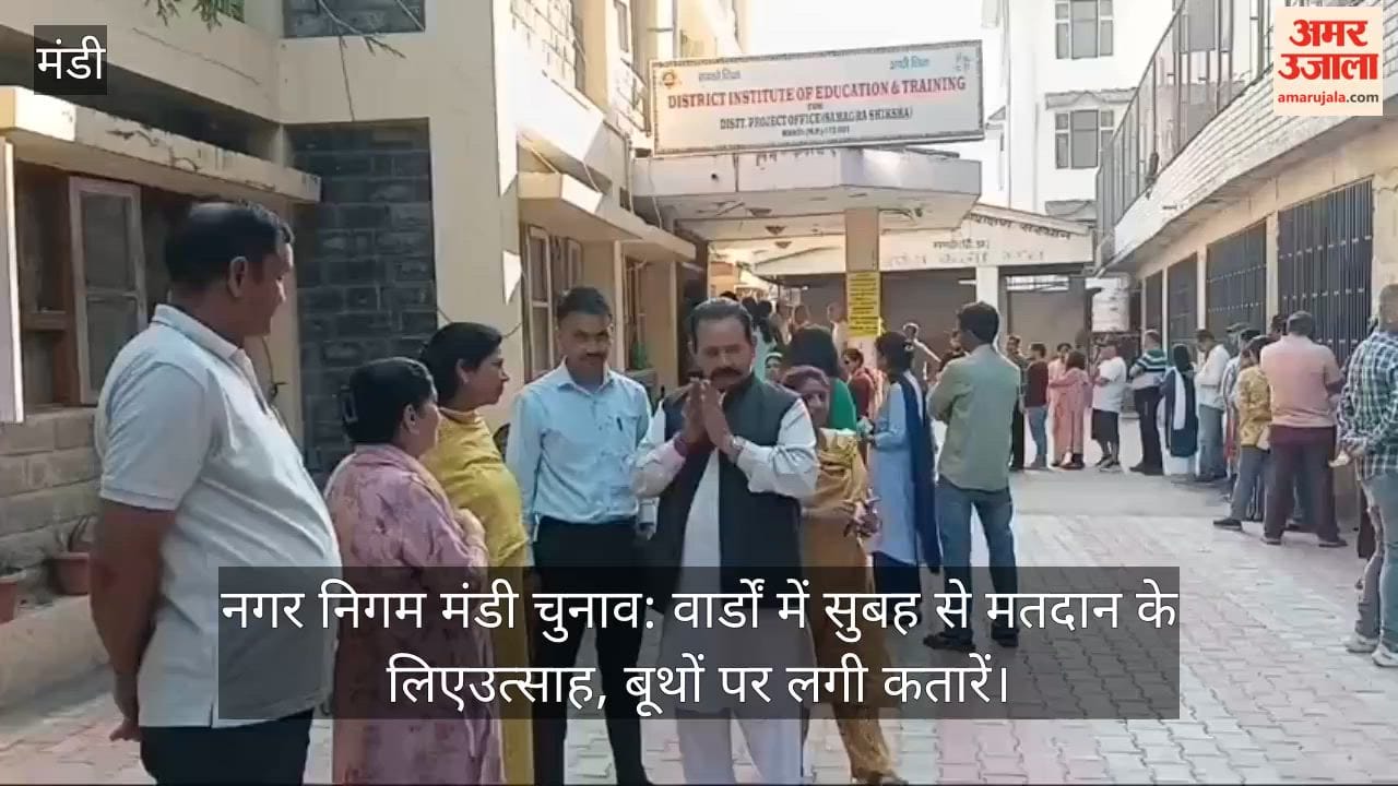 Mandi Municipal Corporation Elections: Enthusiasm for Voting in Wards Since Morning; Queues Form at Polling Booths