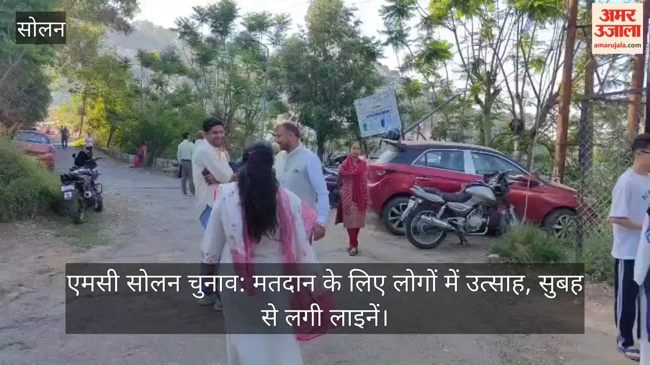 MC Solan Elections: Enthusiasm Among Voters; Queues Formed Since Morning