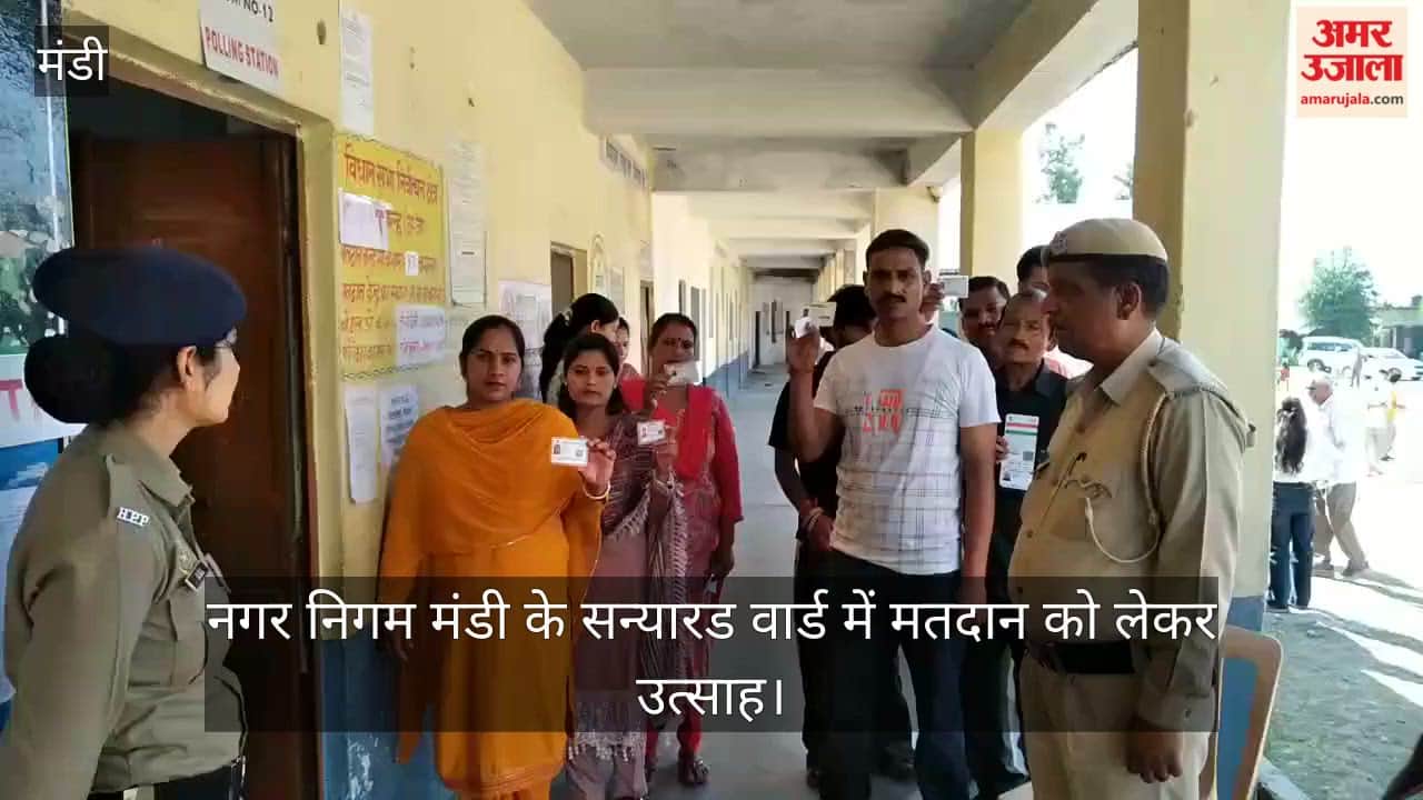 Enthusiasm surrounding voting in the Sanyard Ward of the Mandi Municipal Corporation.