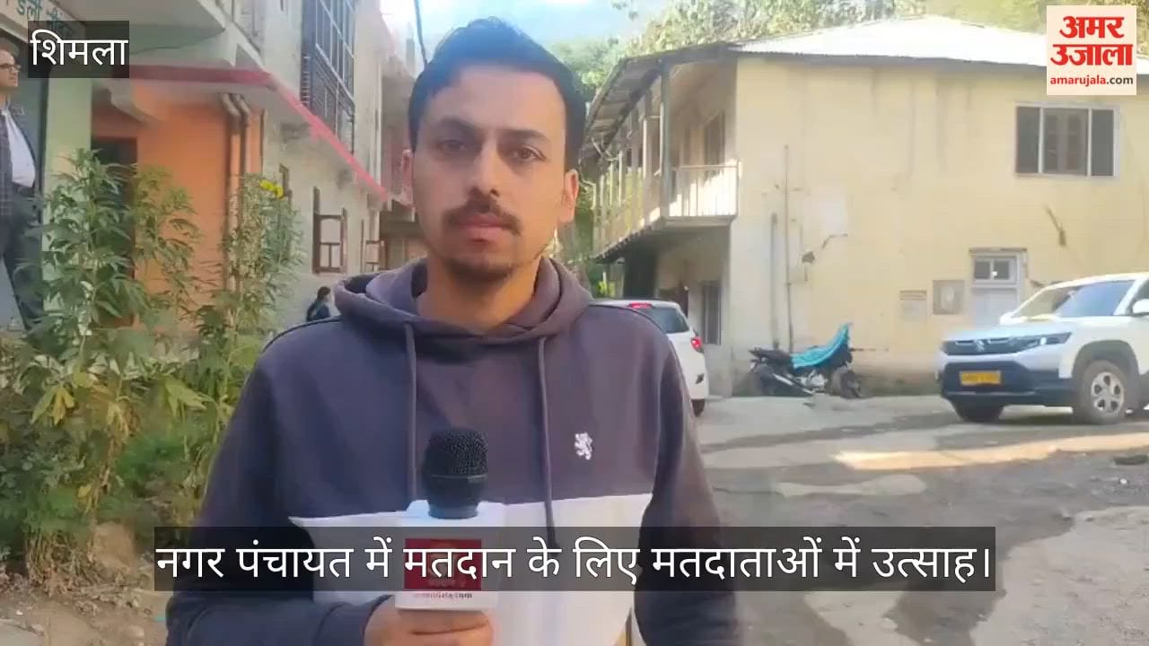 Voters Show Enthusiasm for Polling in Nagar Panchayat—Find Out What They Said
