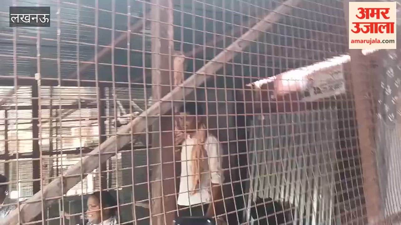 लखनऊ में अवैध चैंबरों पर चला बुलडोजर, चैंबर में खुद को बंद करके वकील ने फांसी लगाने की कोशिश की