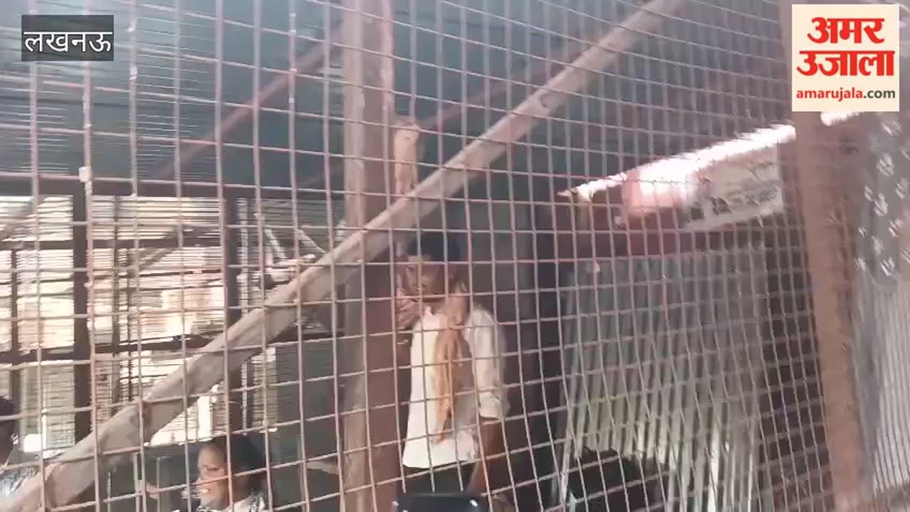 लखनऊ में अवैध चैंबरों पर चला बुलडोजर, चैंबर में खुद को बंद करके वकील ने फांसी लगाने की कोशिश की