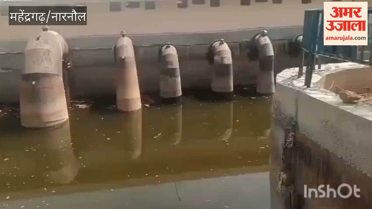 Dead Chickens Dumped into Canal in Narnaul, Risk of Epidemic Outbreak; SDO Directs JE to File FIR