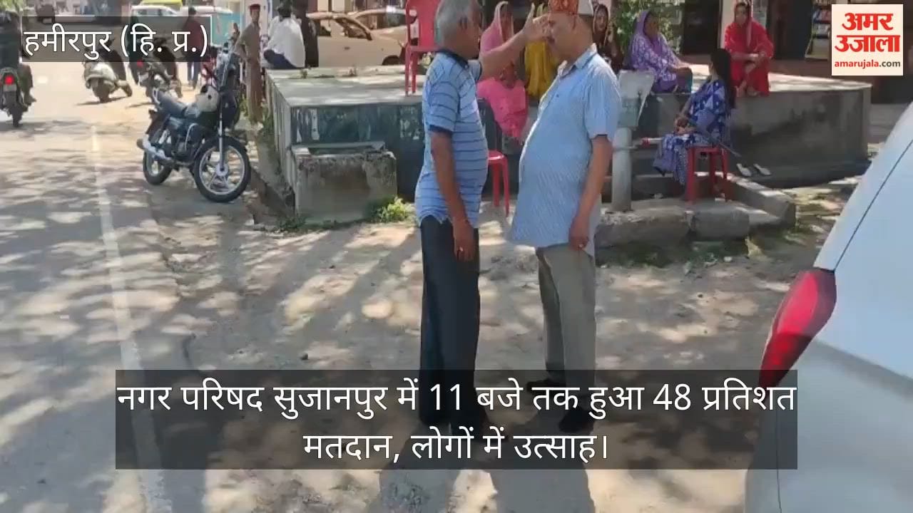 48 Percent Voter Turnout Recorded in Sujanpur Municipal Council by 11 AM; Enthusiasm Among Residents