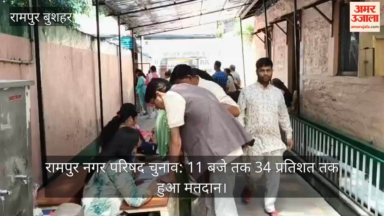 Rampur Municipal Council Elections: 34 Percent Voter Turnout Recorded by 11 AM