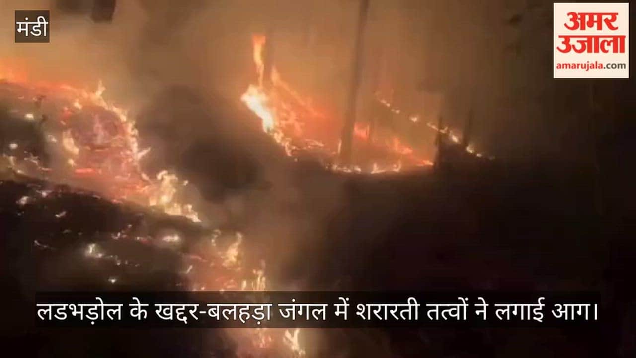 Mischievous Elements Set Fire to Khaddar-Balhara Forest in Ladbharol; Major Disaster Averted