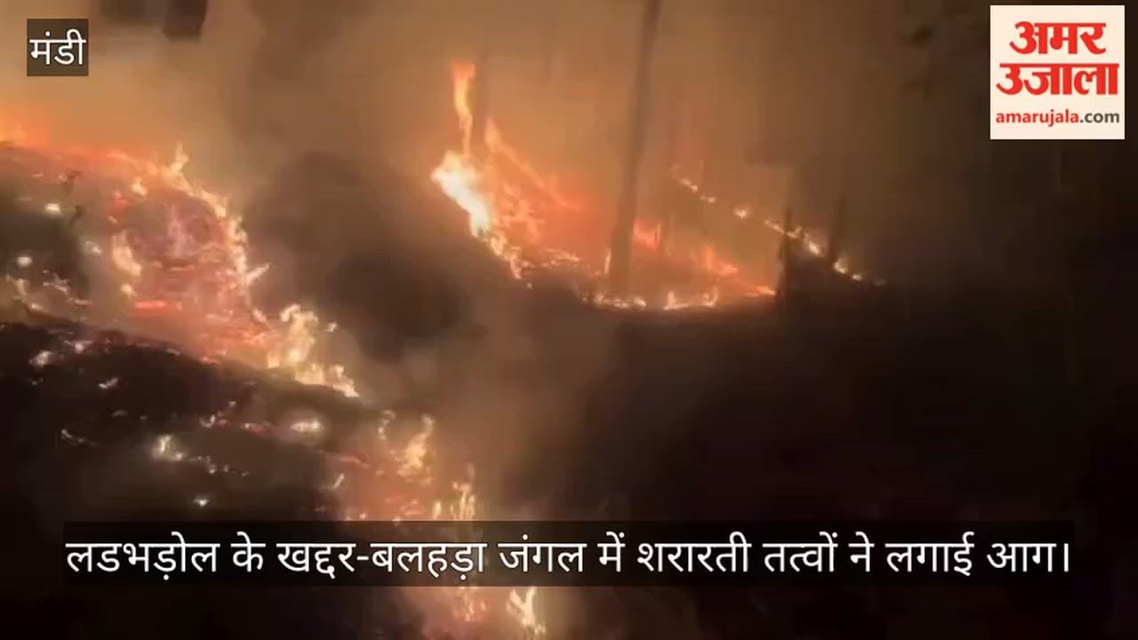 Mischievous Elements Set Fire to Khaddar-Balhara Forest in Ladbharol; Major Disaster Averted