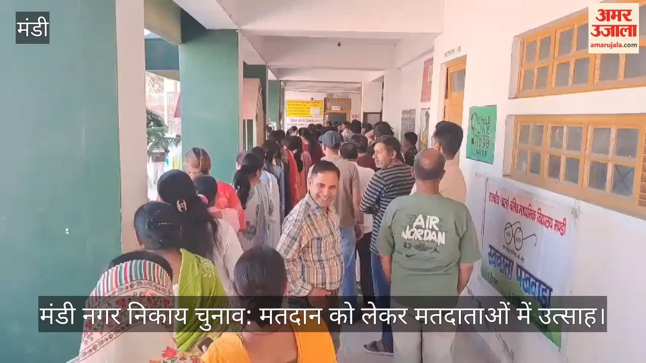 Mandi Civic Body Elections: Enthusiasm Among Voters for Polling; Candidates' Hearts Pound