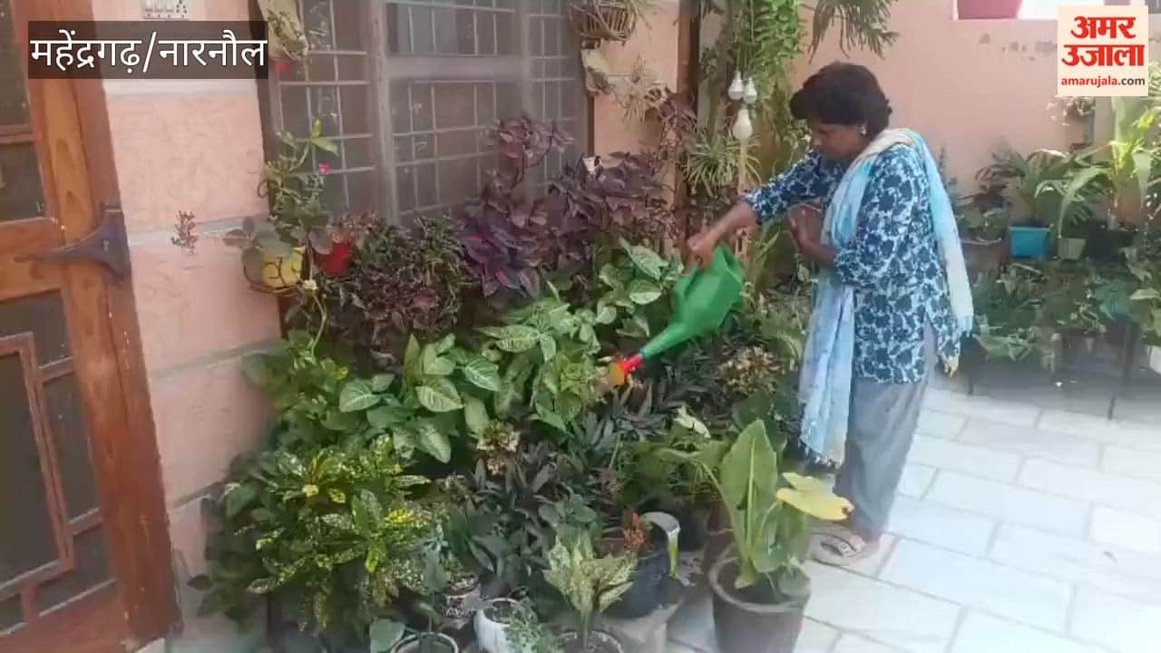 A garden of 160 plants was planted at home.