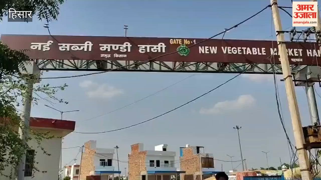 Vegetables become expensive due to increase in oil prices