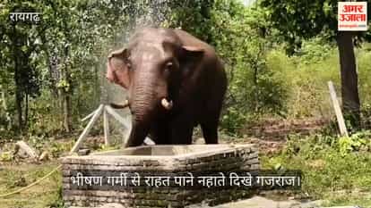 Elephant suffering from heat took bath near water tank in Raigarh