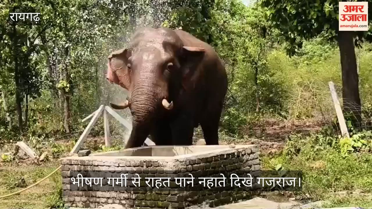Elephant suffering from heat took bath near water tank in Raigarh