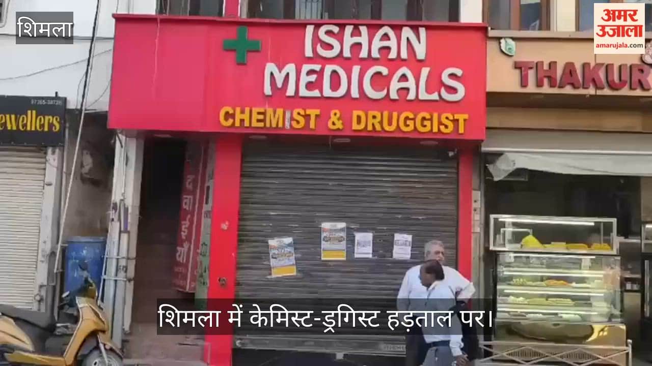 Chemists and Druggists on Strike in Shimla; Medical Stores Locked