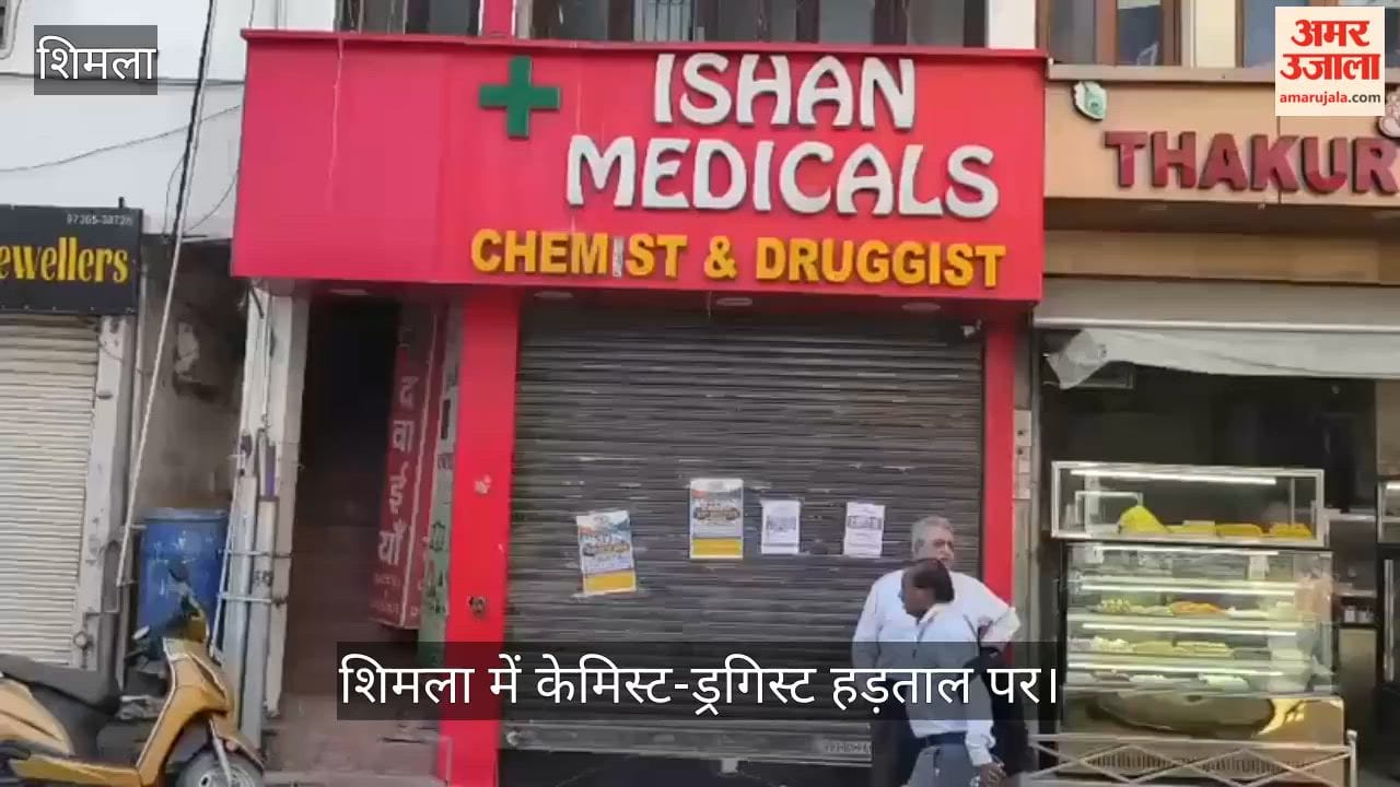Chemists and Druggists on Strike in Shimla; Medical Stores Locked
