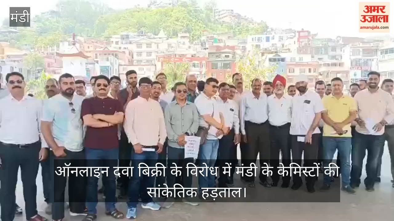 Mandi Chemists Hold Symbolic Strike Against Online Sale of Medicines