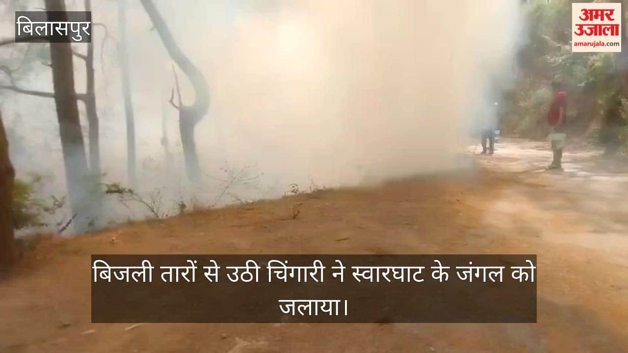 Sparks from power lines set the Swarghat forest ablaze.